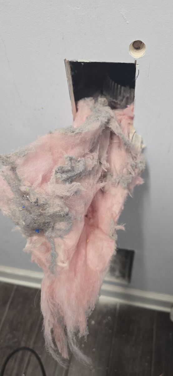 Lint and debris removed from inside a wall cavity